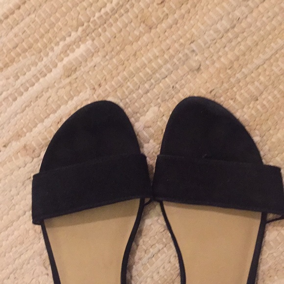 Purging - Picture 5 of 7